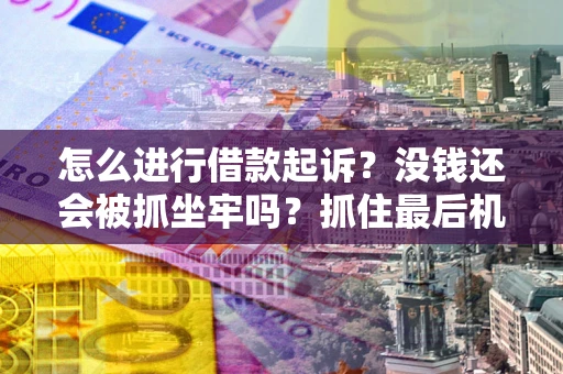 武汉怎么进行借款起诉？没钱还会被抓坐牢吗？抓住最后机会！