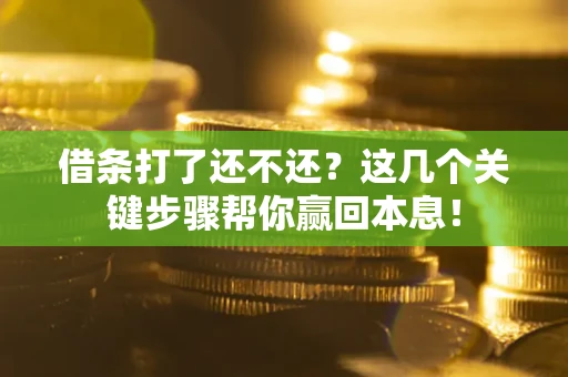 武汉借条打了还不还？这几个关键步骤帮你赢回本息！