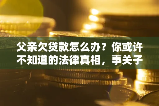武汉父亲欠贷款怎么办？你或许不知道的法律真相，事关子女未来