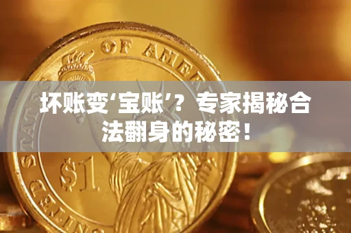武汉坏账变‘宝账’？专家揭秘合法翻身的秘密！