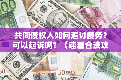 武汉共同债权人如何追讨债务？可以起诉吗？（速看合法攻略）
