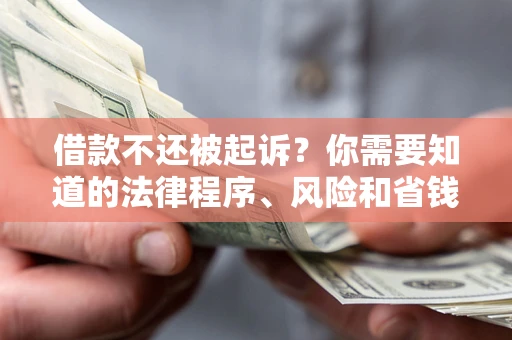 武汉借款不还被起诉？你需要知道的法律程序、风险和省钱技巧